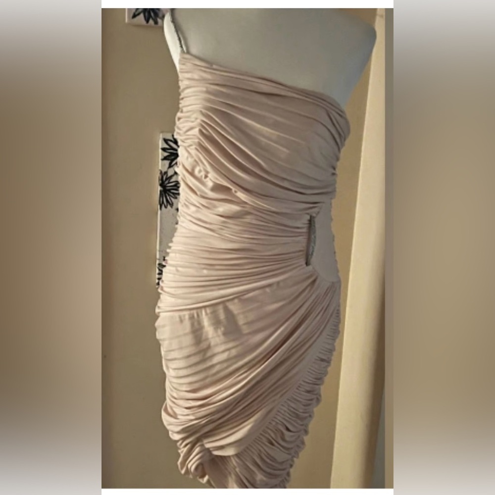 Never wore JS COLLECTION Dress